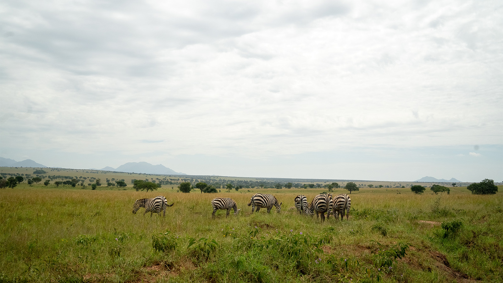 Kidepo Valley National Park