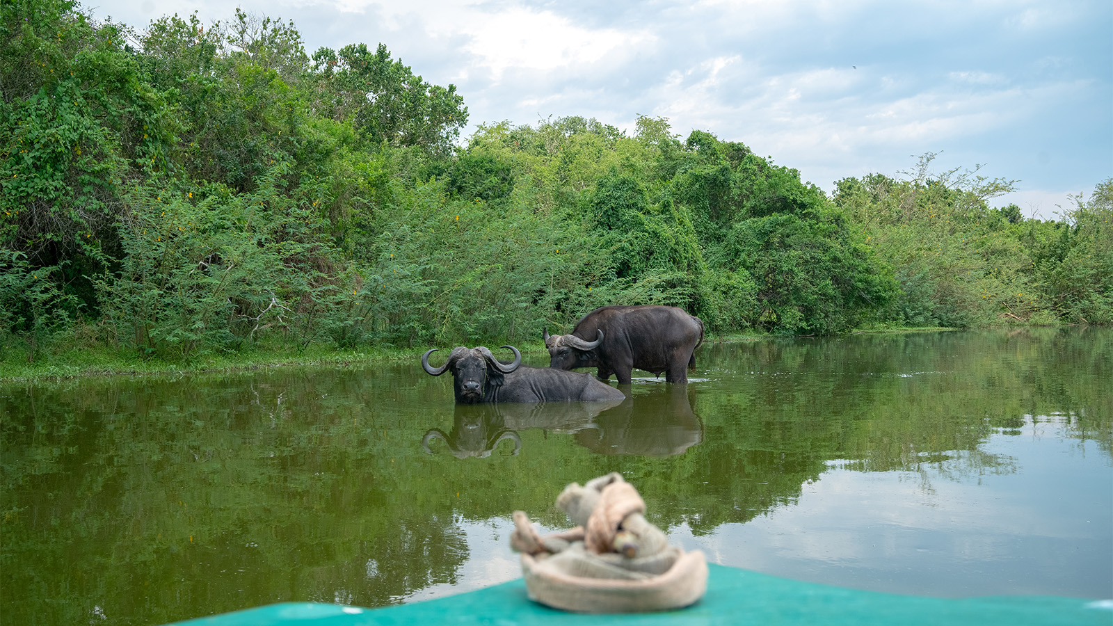 3 Day Lake Mburo National park safari